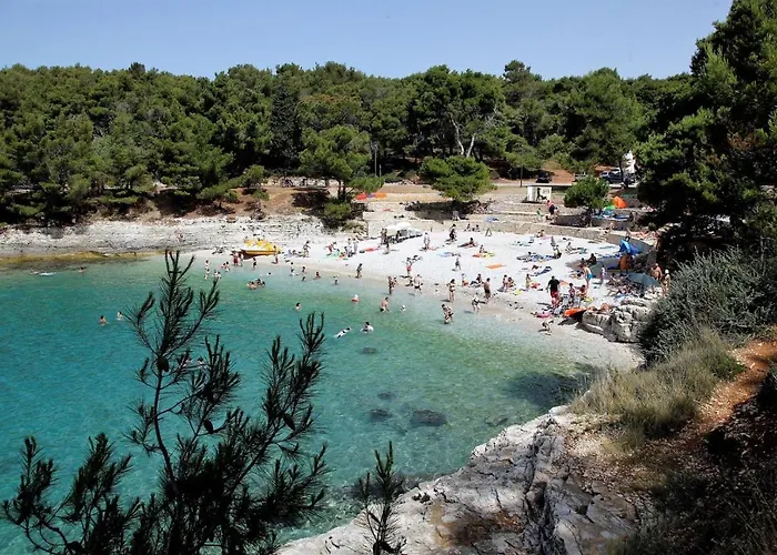 Casa Gianni Valbandon - Pets Friendly * Fondole